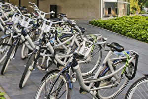 Bike Rentals